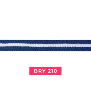 bry210