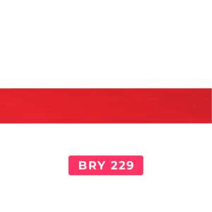 bry229