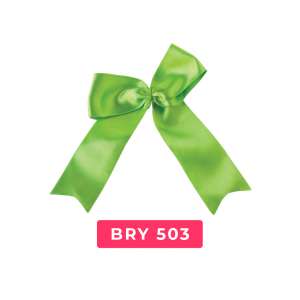 bry503