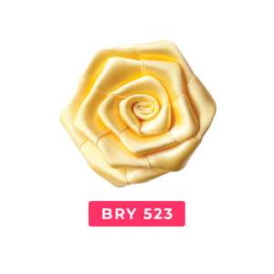 bry523