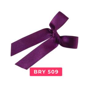 bry509