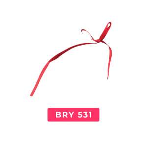 bry531