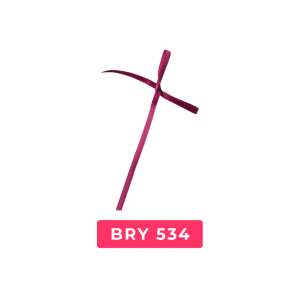 bry534